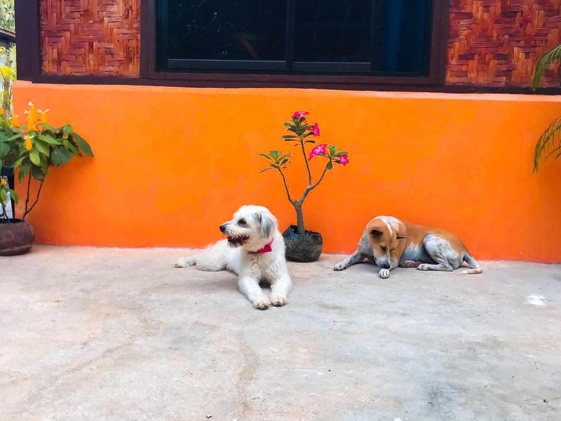 Don Leo'S Bnb Esperanza Экстерьер фото